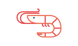 acción en la ciudad de Santander